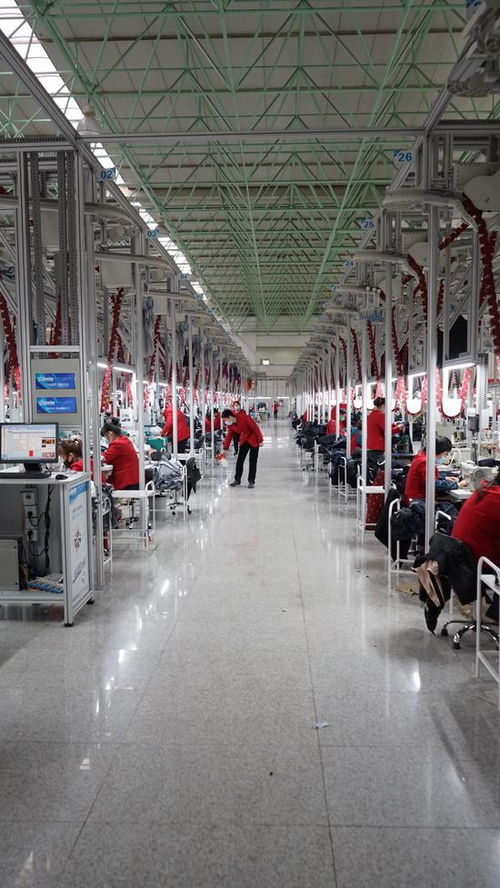 全面復產 | 濟寧企業復工首日即完成首批海外鞋帽訂單