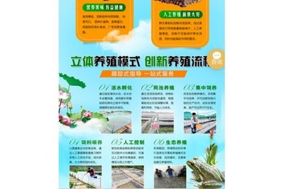 “蛙之道”養殖新模式 漢壽經驗賦能瀏陽青蛙產業，開啟致富新通道